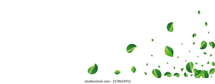 Lime Leaf Herbal Vector Panoramic White Background. Falling Greens Concept. Mint Leaves Swirl Border. Foliage Fly Brochure.