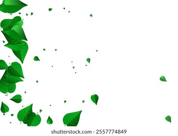 Lime Leaf Herbal Vector White Background Banner. Swirl Leaves Pattern. Grassy Foliage Tree Border. Greens Tea Illustration.