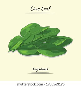Lime Leaf Illustration, Used For Cooking Some Food, Sketch & Vector Style