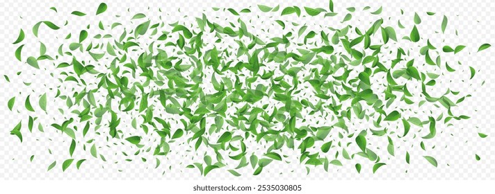 Lime Leaf Motion Vector Panoramic Transparent Background Border. Organic Foliage Banner. Grassy Leaves Spring Template. Greens Nature Design.