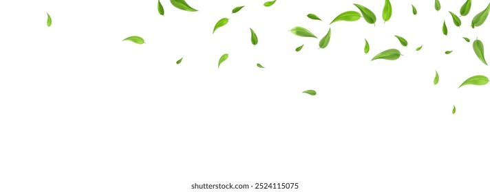 Lime Leaf Nature Vector Panoramic White Background Brochure. Fly Foliage Border. Forest Greens Forest Template. Leaves Blur Concept.