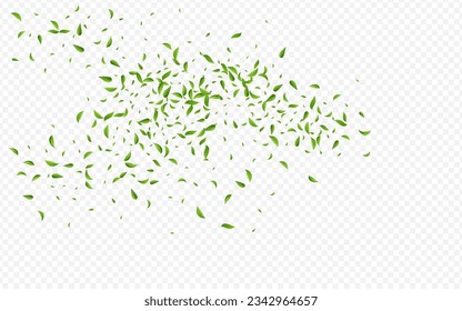 Lime Leaf Nature Vector Transparent Background Pattern. Fly Leaves Branch. Green Foliage Flying Design. Greens Falling Template.