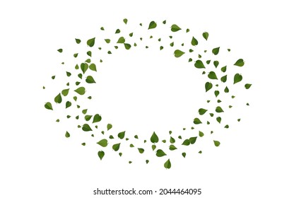 Lime Leaf Nature Vector White Background Illustration. Falling Leaves Border. Green Foliage Fly Template. Greens Abstract Plant.