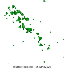 Lime Leaf Nature Vector White Background Concept. Blur Foliage Template. Swamp Greens Fly Poster. Leaves Forest Illustration.