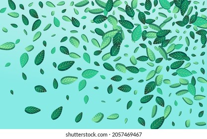 Lime Leaf Organic Vector Blue Background Banner. Fresh Greens Border. Green Leaves Ecology Backdrop. Foliage Fly Background.