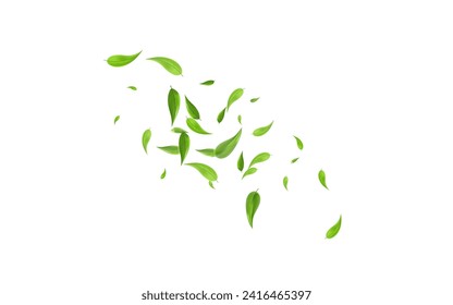 Lime Leaf Organic Vector White Background Branch. Transparent Greens Brochure. Grassy Leaves Wind Template. Foliage Swirl Poster.