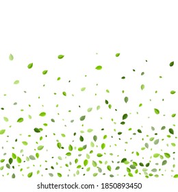 Lime Leaf Realistic Vector Branch. Swirl Leaves Pattern. Swamp Greens Abstract Template. Foliage Organic Backdrop.