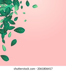 Lime Leaf Realistic Vector Pink Background Border. Fresh Greens Banner. Forest Foliage Tree Poster. Leaves Ecology Background.