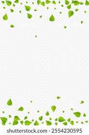 Lime Leaf Realistic Vector Transparent Background Plant. Fresh Foliage Illustration. Mint Leaves Forest Branch. Greens Blur Template.