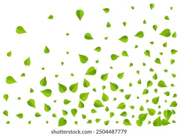 Lime Leaf Realistic Vector White Background Template. Motion Foliage Concept. Olive Leaves Transparent Illustration. Greens Nature Design.
