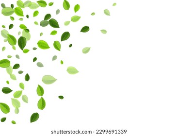 Lime Leaf Swirl Vector Concept. Nature Greens Background. Grassy Leaves Realistic Pattern. Foliage Blur Design.