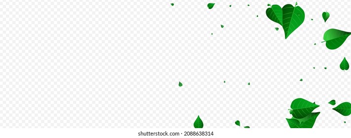 Lime Leaf Swirl Vector Panoramic Transparent Background Brochure. Abstract Leaves Wallpaper. Grassy Foliage Wind Border. Greens Transparent Branch.