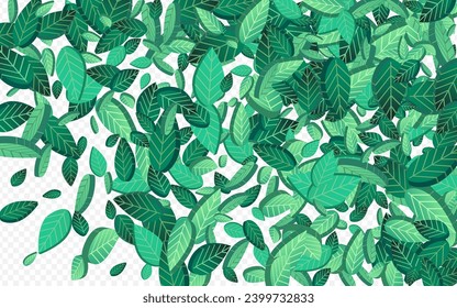 Lime Leaf Swirl Vector Transparent Background Design. Motion Foliage Pattern. Green Greens Realistic Banner. Leaves Tree Wallpaper.