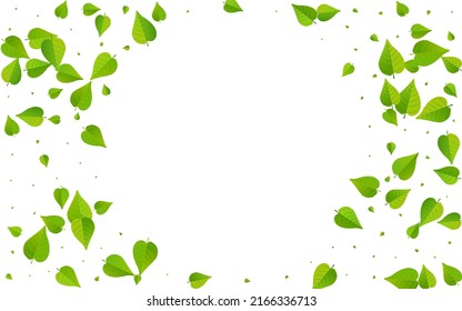 Lime Leaf Swirl Vector White Background Plant. Wind Leaves Branch. Green Greens Realistic Illustration. Foliage Blur Banner.