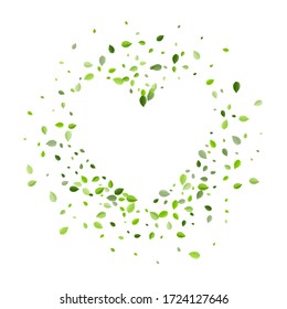 Lime Leaf Tea Vector Banner. Swirl Foliage Brochure. Grassy Leaves Nature Wallpaper. Greens Abstract Pattern.