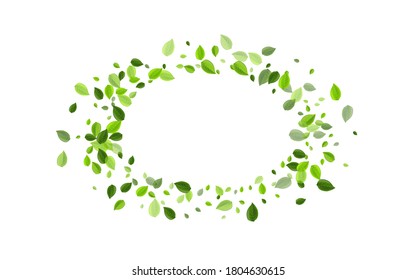 Lime Leaf Tea Vector Border. Motion Leaves Backdrop. Green Foliage Herbal Pattern. Greens Transparent Template.