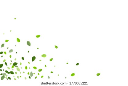 Lime Leaf Transparent Vector Illustration. Ecology Greens Backdrop. Grassy Foliage Organic Banner. Leaves Herbal Pattern.