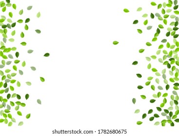 Lime Leaf Tree Vector Brochure. Motion Leaves Illustration. Green Foliage Blur Plant. Greens Organic Template.