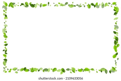 Lime Leaf Tree Vector Concept. Motion Foliage Banner. Mint Leaves Fresh Backdrop. Greens Forest Plant.