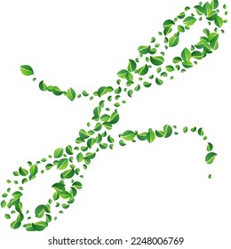 Lime Leaf Tree Vector White Background. Fly Foliage Template. Swamp Greens Blur Brochure. Leaves Organic Branch.