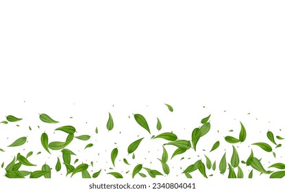 Lime Leaf Tree Vector White Background Pattern. Abstract Greens Wallpaper. Forest Foliage Forest Backdrop. Leaves Transparent Design.