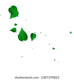 Lime Leaf Tree Vector White Background Backdrop. Fly Greens Plant. Forest Foliage Forest Design. Leaves Blur Poster.