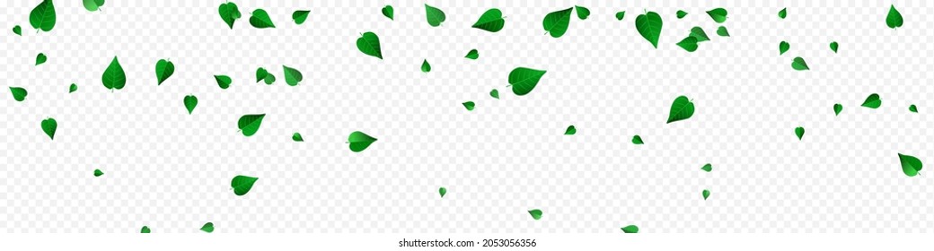 Lime Leaf Wind Vector Panoramic Transparent Background Poster. Abstract Greens Template. Forest Foliage Forest Concept. Leaves Transparent Banner.