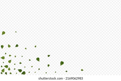 Lime Leaf Wind Vector Transparent Background Design. Motion Foliage Banner. Mint Greens Flying Brochure. Leaves Falling Poster.