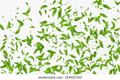 Lime Leaves Abstract Vector Transparent Background Wallpaper. Motion Leaf Illustration. Swamp Greens Nature Design. Foliage Blur Branch.