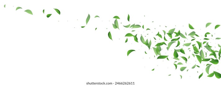 Lime Leaves Blur Vector Panoramic White Background Template. Swirl Foliage Plant. Olive Greens Spring Border. Leaf Fresh Pattern.