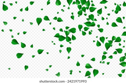 Lime Leaves Blur Vector Transparent Background Pattern. Falling Foliage Template. Olive Leaf Swirl Backdrop. Greens Ecology Wallpaper.