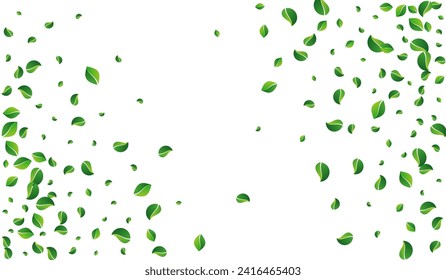 Lime Leaves Blur Vector White Background. Tree Leaf Concept. Olive Foliage Organic Banner. Greens Fly Border.