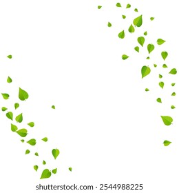 Folheto de fundo branco do vetor de desfoque de folhas de cal. Ilustração de Folhagem Florestal. Mint Greens Realistic Plant (em inglês). Projeto de Vento Folha.