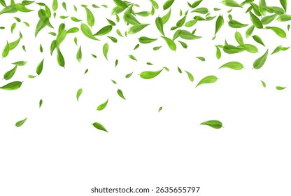 Lime Leaves Ecology Vector White Background Design. Transparent Greens Illustration. Green Foliage Blur Backdrop. Leaf Spring Brochure.