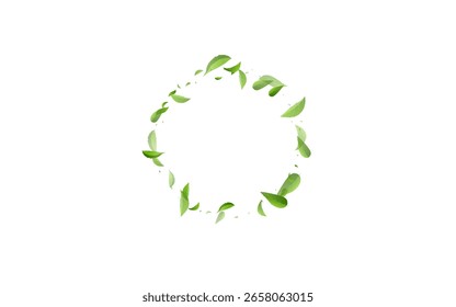 Lime verlässt Ökologie Vektor weißen Hintergrund Vorlage. Fallende grüne Illustration. Grüne Blätter organisches Design. Unscharfes Blatt-Poster.