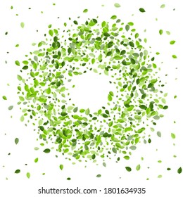 Lime Leaves Falling Vector Border. Flying Leaf Backdrop. Olive Greens Spring Plant. Foliage Herbal Branch.