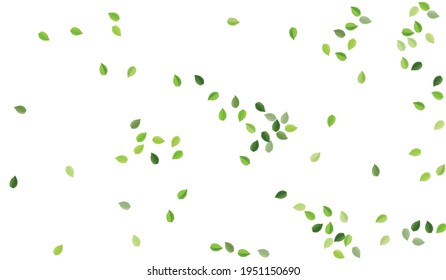 Lime Leaves Fly Vector Brochure. Wind Foliage Poster. Mint Leaf Abstract Template. Greens Flying Backdrop.