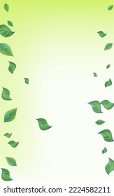 Lime Deja La Plantilla De Fondo Verde Del Vector De Mosca. Concepto de vegetación natural. Diseño de Primavera de Foliage Grassy. Folleto de árbol de hoja.