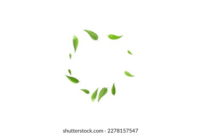 Lime Leaves Flying Vector White Background Template. Tea Leaf Branch. Mint Foliage Falling Backdrop. Greens Swirl Pattern.
