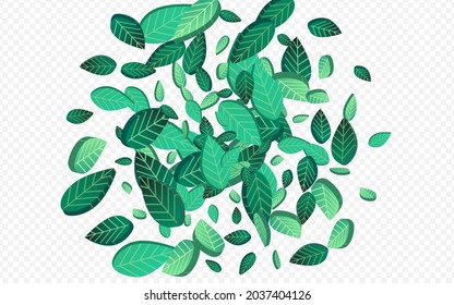 Lime Leaves Forest Vector Transparent Background Plant. Swirl Greens Banner. Grassy Foliage Nature Border. Leaf Herbal Illustration.
