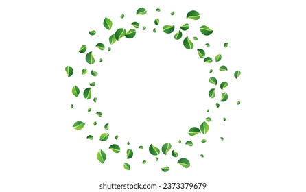 Lime Leaves Forest Vector White Background. Nature Foliage Concept. Grassy Greens Tree Plant. Leaf Swirl Design.