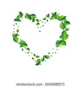 Lime Leaves Forest Vector White Background. Nature Foliage Branch. Swamp Leaf Fresh Backdrop. Greens Transparent Brochure.
