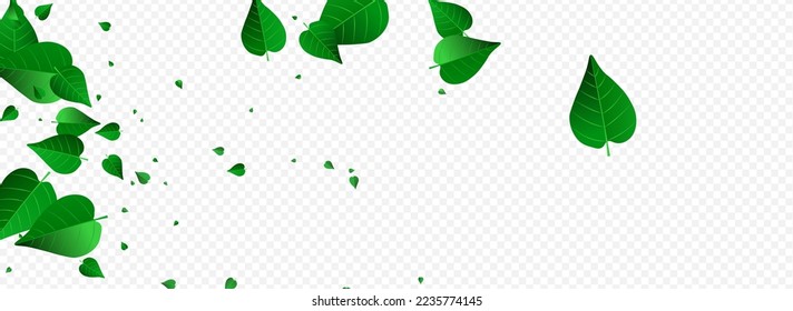 Lime Leaves Fresh Vector Panoramic Transparent Background Brochure. Nature Leaf Border. Forest Greens Swirl Poster. Foliage Flying Branch.