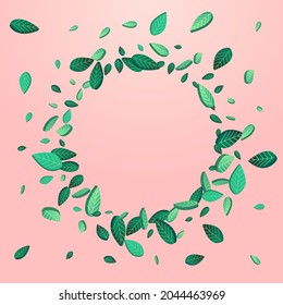 Lime Leaves Fresh Vector Pink Background Illustration. Transparent Foliage Concept. Grassy Greens Tea Banner. Leaf Motion Border.