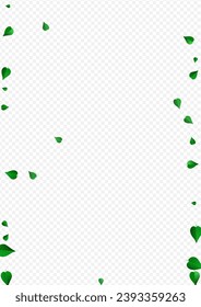 Lime Deja Un Nuevo Diseño De Fondo Transparente Vector. Rama Verdes Realistas. Folleto de caída de la Fábrica de la Moneda. Pancarta de la mosca de la hoja.