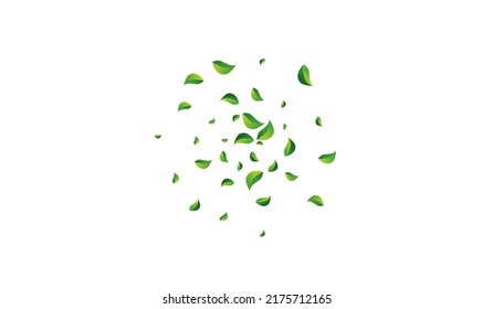 Lime Leaves Fresh Vector White Background. Realistic Leaf Pattern. Forest Foliage Abstract Border. Greens Organic Banner. - Shutterstock ID 2175712165