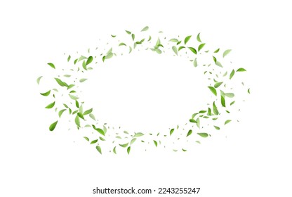 Lime Leaves Fresh Vector White Background Pattern. Forest Greens Backdrop. Swamp Foliage Abstract Border. Leaf Organic Poster.