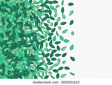 Lime Leaves Herbal Vector Transparent Background Plant. Forest Greens Wallpaper. Green Foliage Wind Brochure. Leaf Tea Pattern.