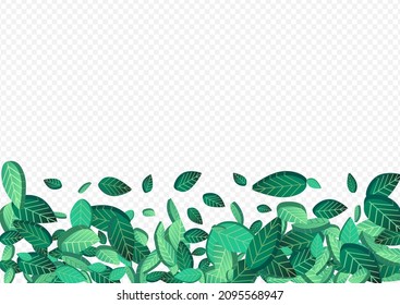 Lime Leaves Motion Vector Transparent Background Pattern. Swirl Leaf Illustration. Mint Greens Tea Poster. Foliage Spring Brochure.