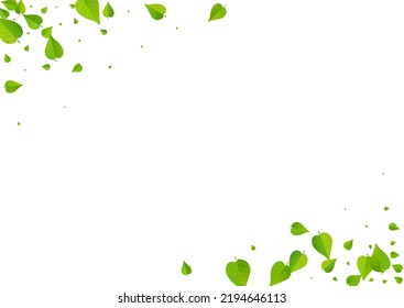 Lime Leaves Motion Vector White Background Brochure. Blur Greens Template. Mint Leaf Abstract Plant. Foliage Fly Poster.